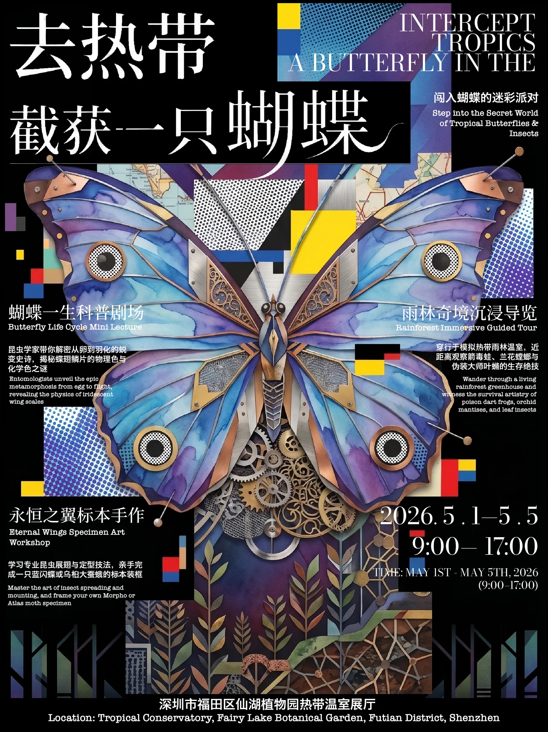 截获一只蝴蝶作品预览